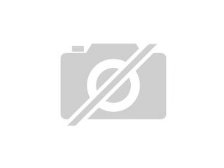 Suche Weißhaubenkakadumännchen nicht älter als 6 Monate